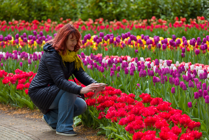 La magie de Delft et le domaine de Keukenhof : Des tulipes à profusion